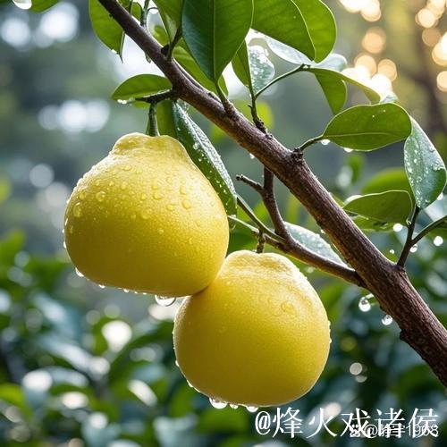 全运盛典九城同辉，天津赛场热情燃爆